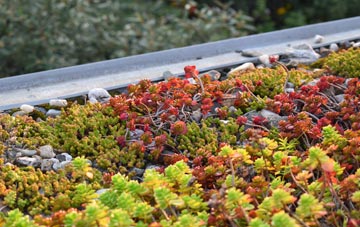 the cost of Buchlyvie green roof installation