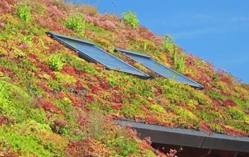 Buchlyvie living roof systems