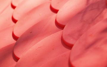 Buchlyvie plastic roof costs