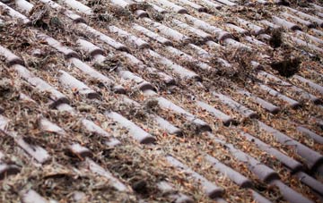 Buchlyvie roof cleaning companies