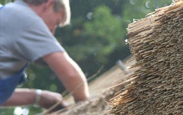 professional Buchlyvie thatchers