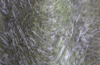 Buchlyvie fibreglass roof work